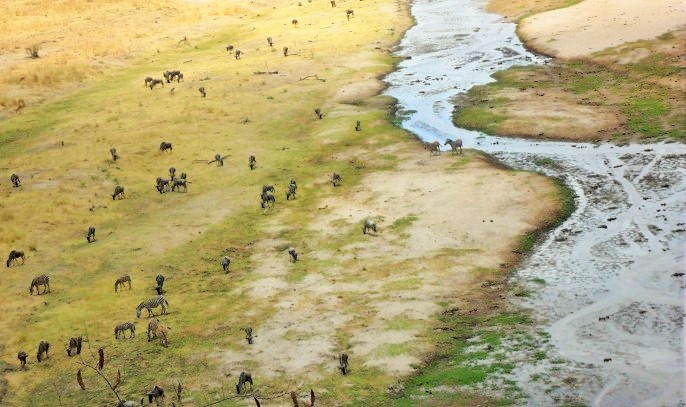 Tarangire National Park wildlife Tour/safari Tanzania